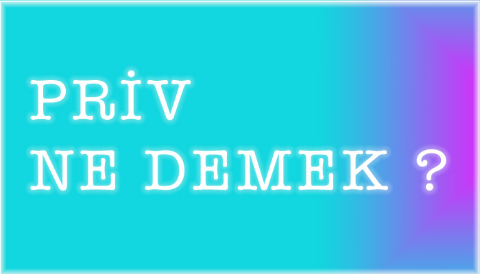 priv ne demek